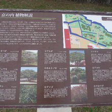 京の内で見られる植物に関する解説板の様子