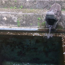 ややパフォーマンス重視の現在の龍樋の様子