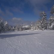 景色が抜群の横手山スキー場