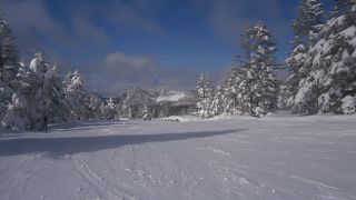 景色が抜群の横手山スキー場