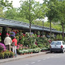 シテ島の花屋さん