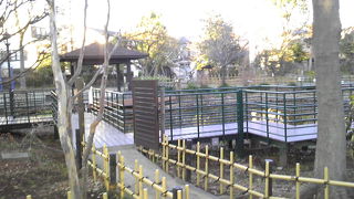 お正月は、ひっそりと