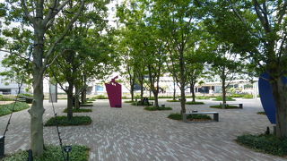 横浜の海を最高の気分で散歩！