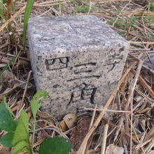 四等三角点も発見！