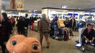 とても広いです。