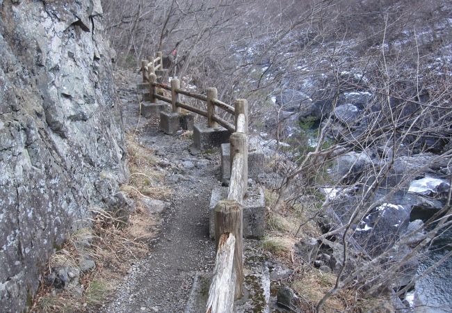 整備された遊歩道