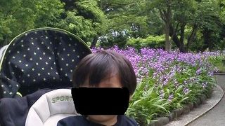 緑豊かでアウトレットモールの裏