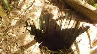 ここで長年過ごしていたんだぁ