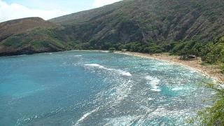 泳がなくても景色でハナウマ・ベイを堪能