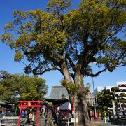 華やかな雰囲気も感じる神社