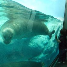 本物ってこんなに大きいの？！