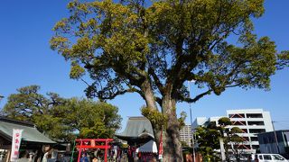華やかな雰囲気も感じる神社