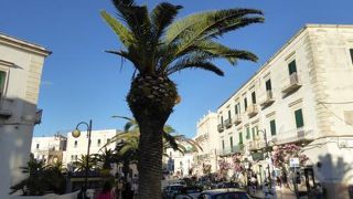 ビエステ新市街のメインストリートは華やか♪