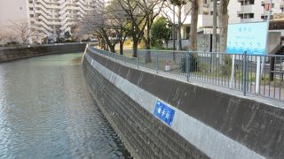 見るところでいろいろ・・