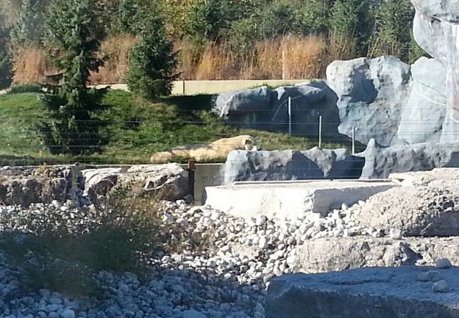 トロント動物園 クチコミ アクセス 営業時間 トロント フォートラベル トロント動物園 クチコミ アクセス 営業時間 トロント フォートラベル