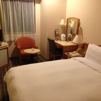 日本のビジネスホテルと変わらない広さ