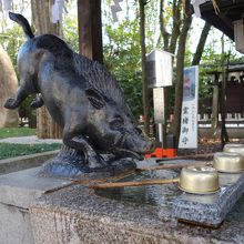 手水舎にも猪