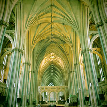 グリーンフィルターを使って撮影しました