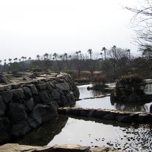 公園内は人工の池などもあり変化に富んでいます