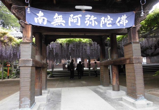 吉祥寺 クチコミ アクセス 営業時間 戸畑 八幡 黒崎 フォートラベル 吉祥寺 クチコミ アクセス 営業時間 戸畑 八幡 黒崎 フォートラベル