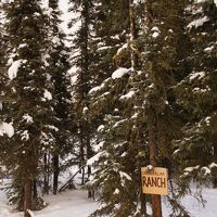 入口には、雪に埋もれた小さな表示のみ。