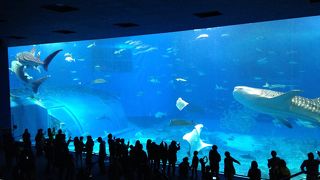 皆さんご存知の…