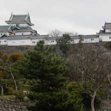 離れてお城を眺めました