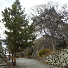 公園内の散策路