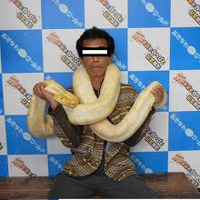 白へびの「ソルトちゃん」と。。