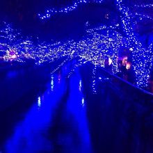 青の洞窟をイメージしたライトアップ