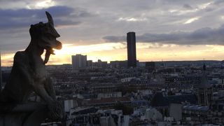 夕暮れの塔から見えるパリの街は絶景でした。