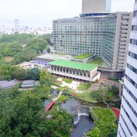 眼下に広がる日本庭園