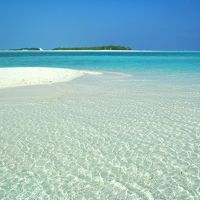 島の北側にはサンドバンクがあり、歩いて行けます。