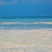 この時期14:30頃の東側のビーチがとってもきれいでした。
