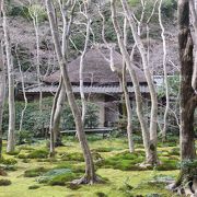 冬枯れの嵐山