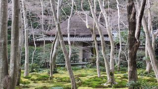 冬枯れの嵐山