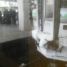 普通電車に雪が・・・