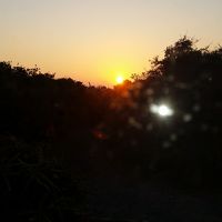 部屋から眺める日の出です