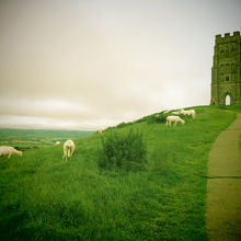 丘の斜面には羊が放牧されていました（トイカメラフィルター使用