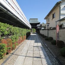 寄り道することにしました