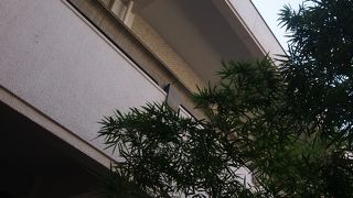 建築に興味がある人はぜひ