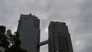 立派なツインタワーです