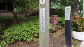 川沿いのお散歩に