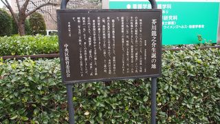 聖路加看護大学の近く