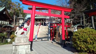 赤い鳥居がたくさんの神社