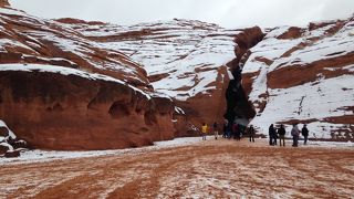 一度でいいから見る価値は絶対にある