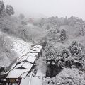 雪景色の清水寺は息を呑む美しさ