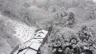 雪景色の清水寺は息を呑む美しさ
