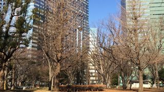 デング熱の際には閉鎖されましたが