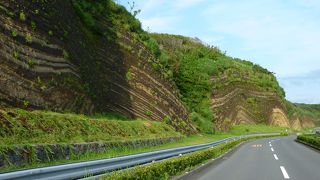 褶曲がよく見える